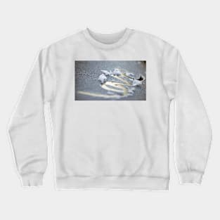 Frosted Love Crewneck Sweatshirt